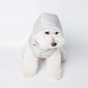 Gilet à capuche tendance et léger pour chien avec laisse à anneau en D