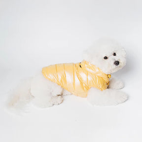 Gilet à capuche tendance et léger pour chien avec laisse à anneau en D