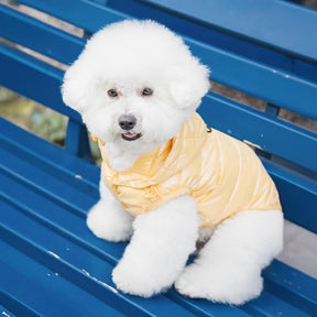 Gilet à capuche tendance et léger pour chien avec laisse à anneau en D