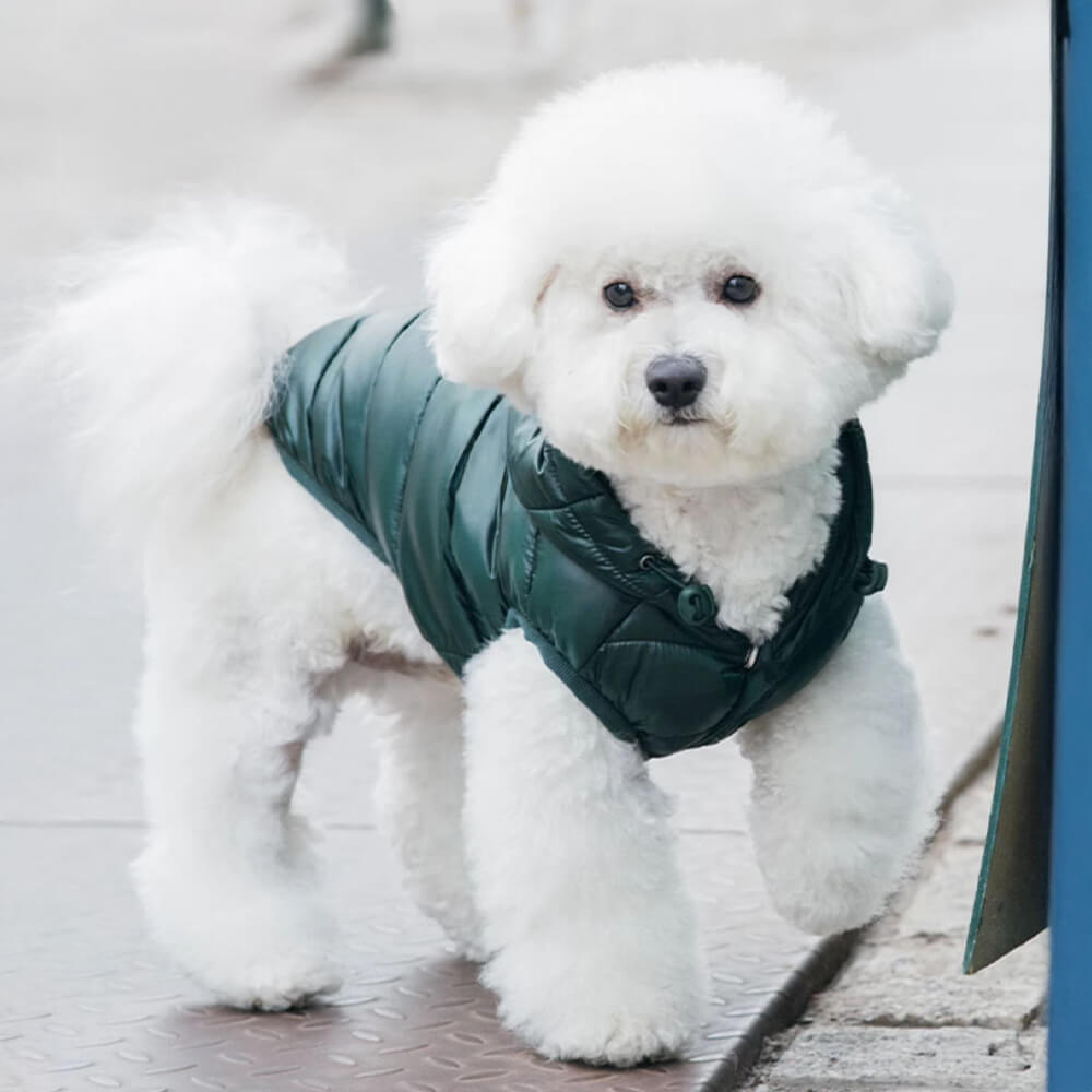 Gilet à capuche tendance et léger pour chien avec laisse à anneau en D