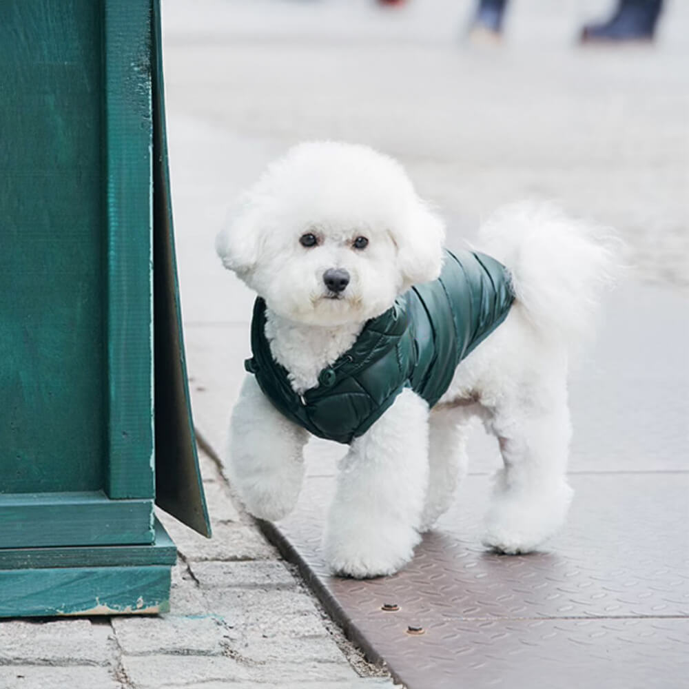 Gilet à capuche tendance et léger pour chien avec laisse à anneau en D