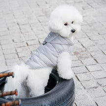 Gilet à capuche tendance et léger pour chien avec laisse à anneau en D