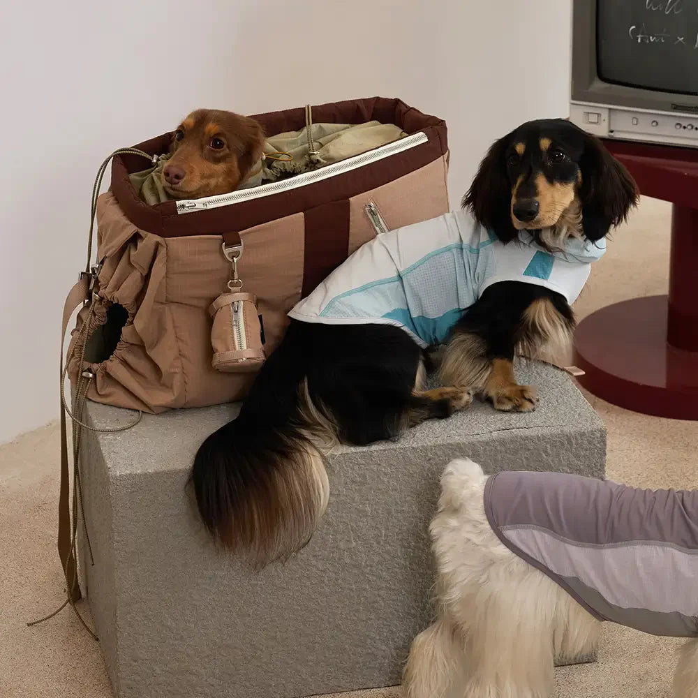 Sac de transport pour animaux de compagnie vintage, léger, étanche, de grande capacité pour les voyages.