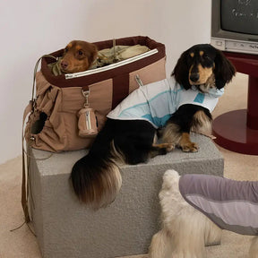 Sac de transport pour animaux de compagnie vintage, léger, étanche, de grande capacité pour les voyages.