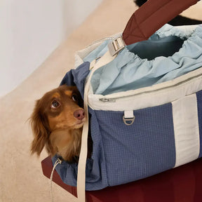 Sac de transport pour animaux de compagnie vintage, léger, étanche, de grande capacité pour les voyages.