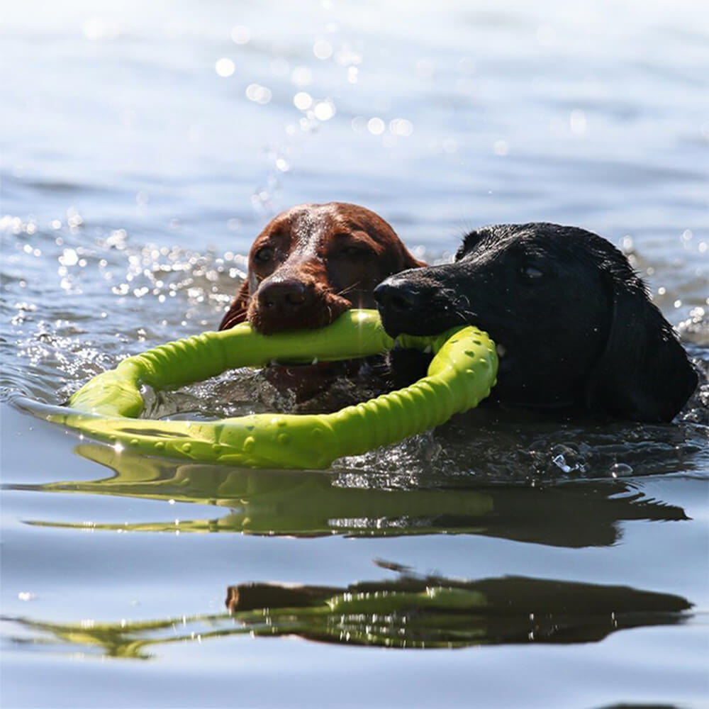 Anneau de guerre pour chien jouet interactif durable imperméable léger flexible