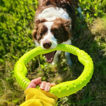 Anneau de guerre pour chien jouet interactif durable imperméable léger flexible