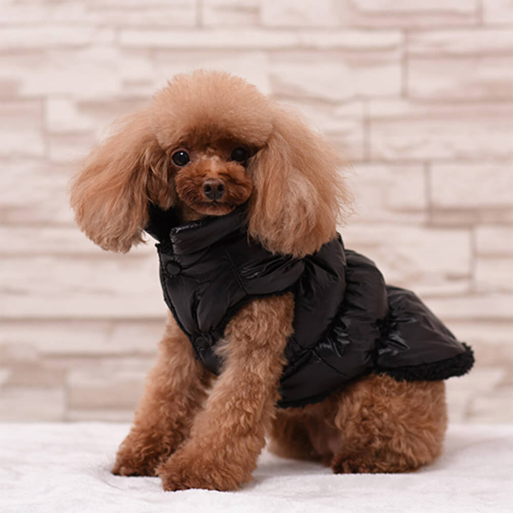 Veste chaude épaisse pour chien coupe-vent imperméable écologique