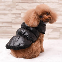 Veste chaude épaisse pour chien coupe-vent imperméable écologique