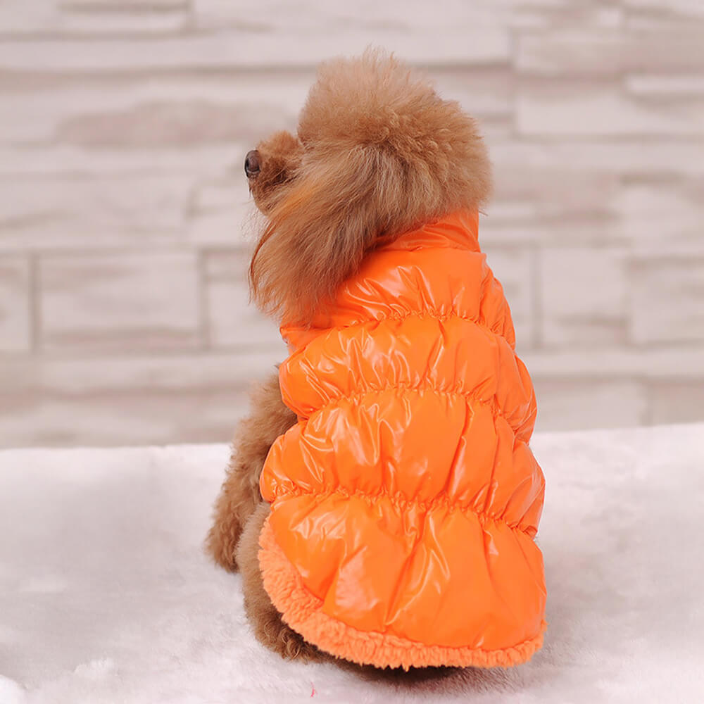 Veste chaude épaisse pour chien coupe-vent imperméable écologique