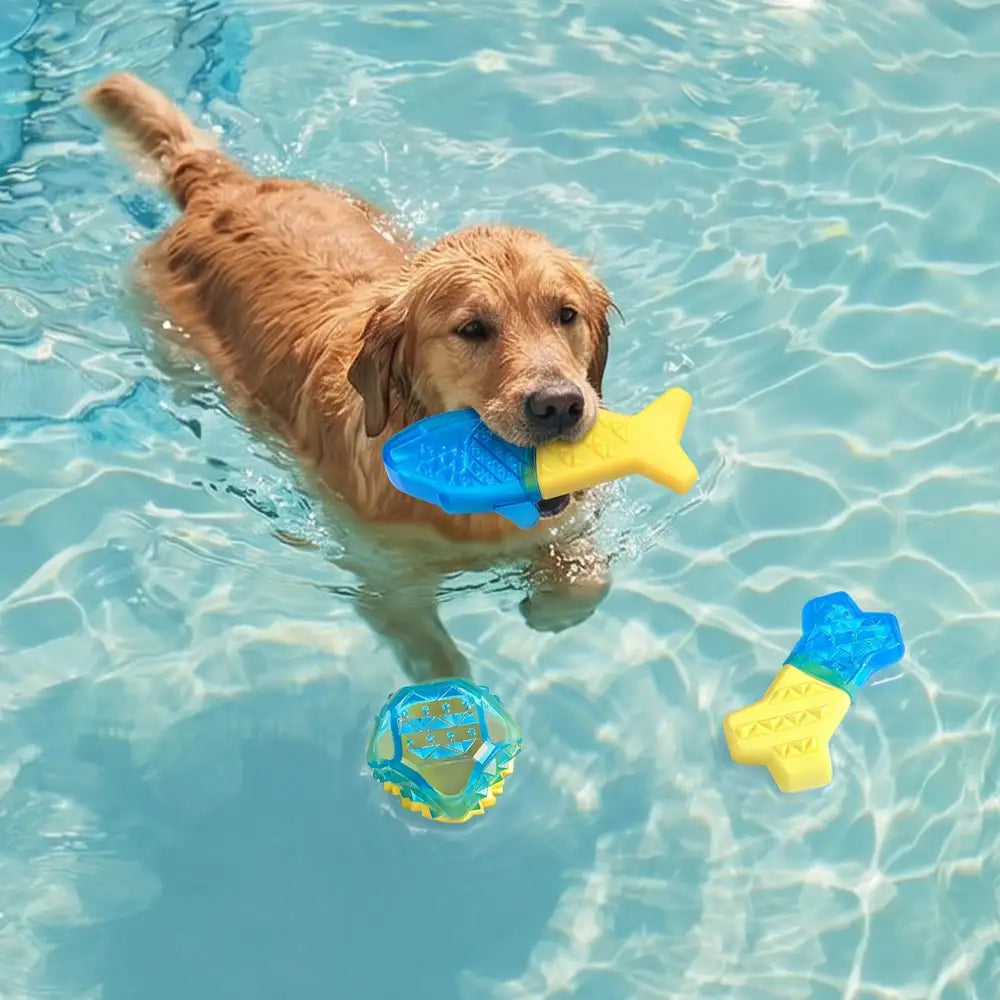 Jouet à mâcher pour chien en forme de dent, réfrigérable et remplissable d'eau.