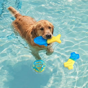 Jouet à mâcher pour chien en forme de dent, réfrigérable et remplissable d'eau.