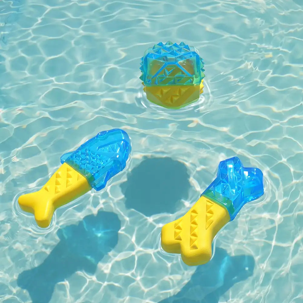 Jouet à mâcher pour chien en forme de dent, réfrigérable et remplissable d'eau.