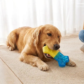 Jouet à mâcher pour chien en forme de dent, réfrigérable et remplissable d'eau.