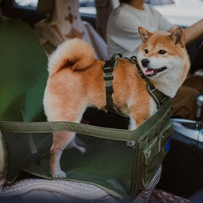 Tapis de voyage pour chien imperméable résistant aux rayures et pliable