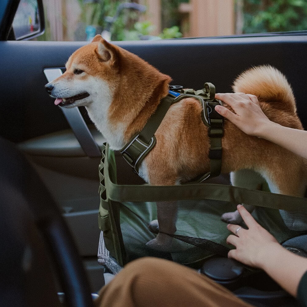 Tapis de voyage pour chien imperméable résistant aux rayures et pliable