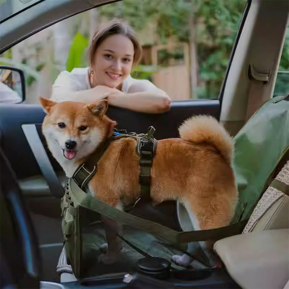 Tapis de voyage pour chien imperméable résistant aux rayures et pliable