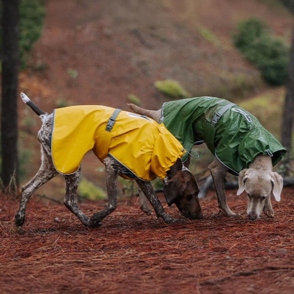 Veste imperméable à col roulé réfléchissante réglable pour chien et propriétaire