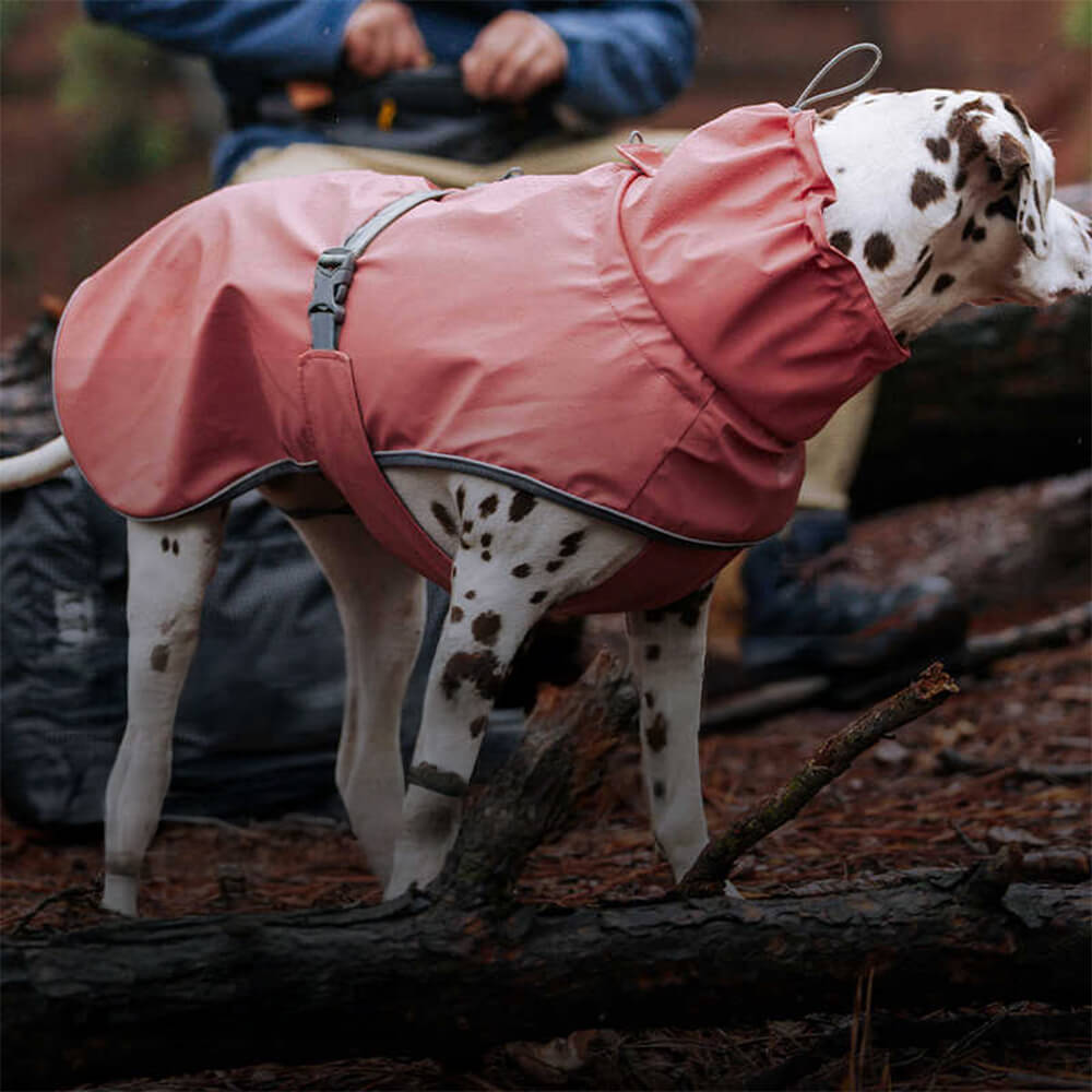 Veste imperméable à col roulé réfléchissante réglable pour chien et propriétaire