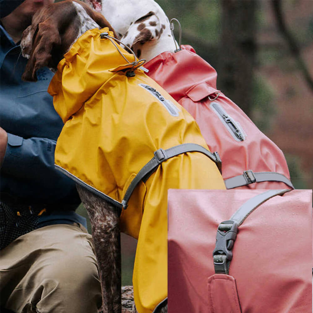 Veste imperméable à col roulé réfléchissante réglable pour chien et propriétaire