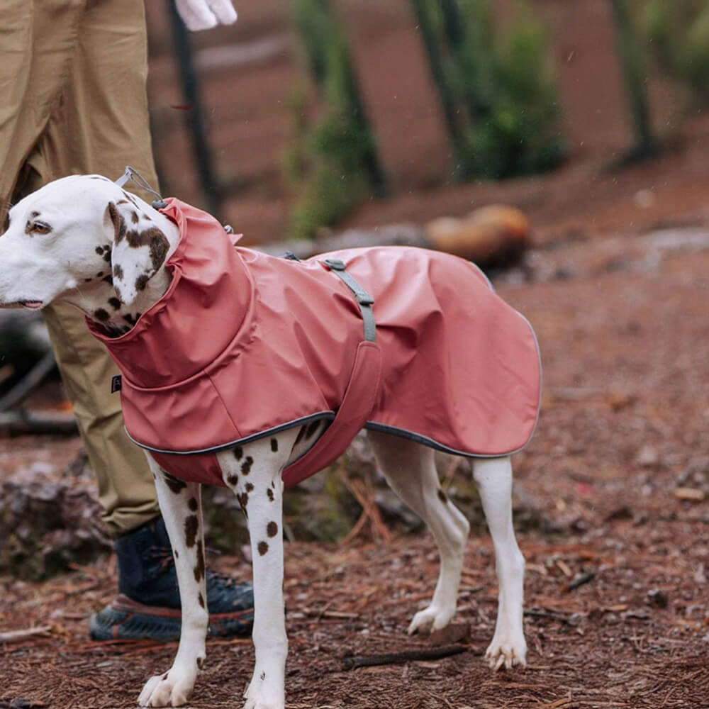 Veste imperméable à col roulé réfléchissante réglable pour chien et propriétaire