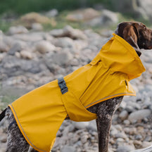 Veste imperméable à col roulé réfléchissante réglable pour chien et propriétaire