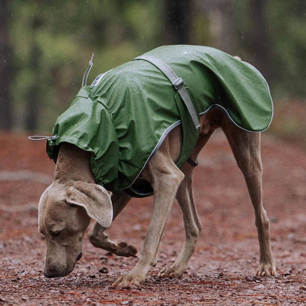 Veste imperméable à col roulé réfléchissante réglable pour chien et propriétaire