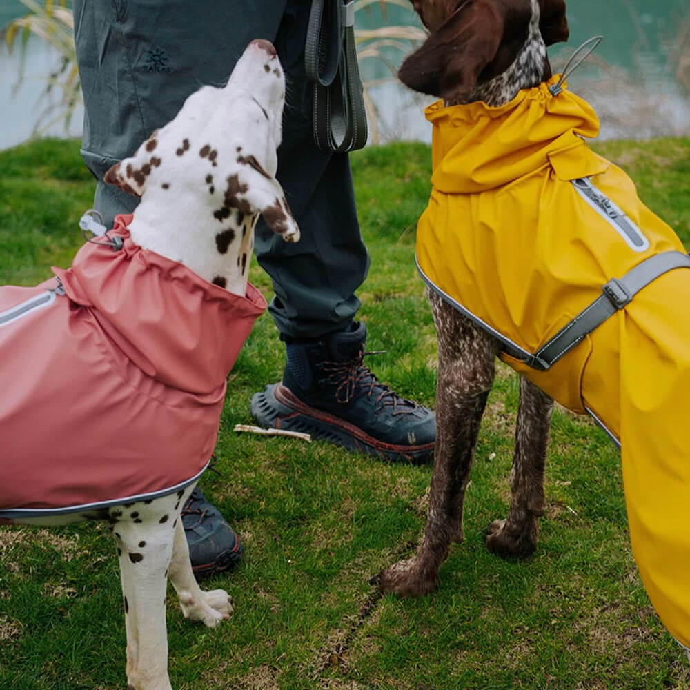 Veste imperméable à col roulé réfléchissante réglable pour chien et propriétaire