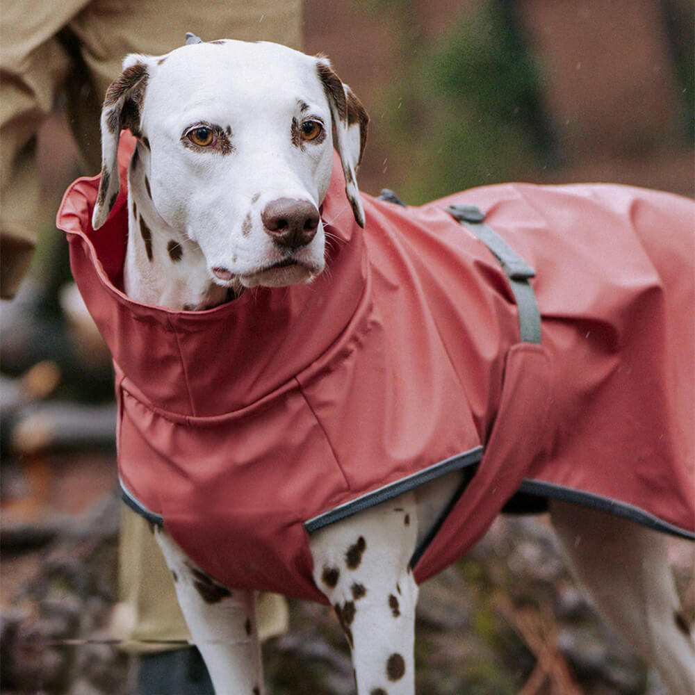 Veste imperméable à col roulé réfléchissante réglable pour chien et propriétaire