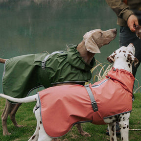 Veste imperméable à col roulé réfléchissante réglable pour chien et propriétaire