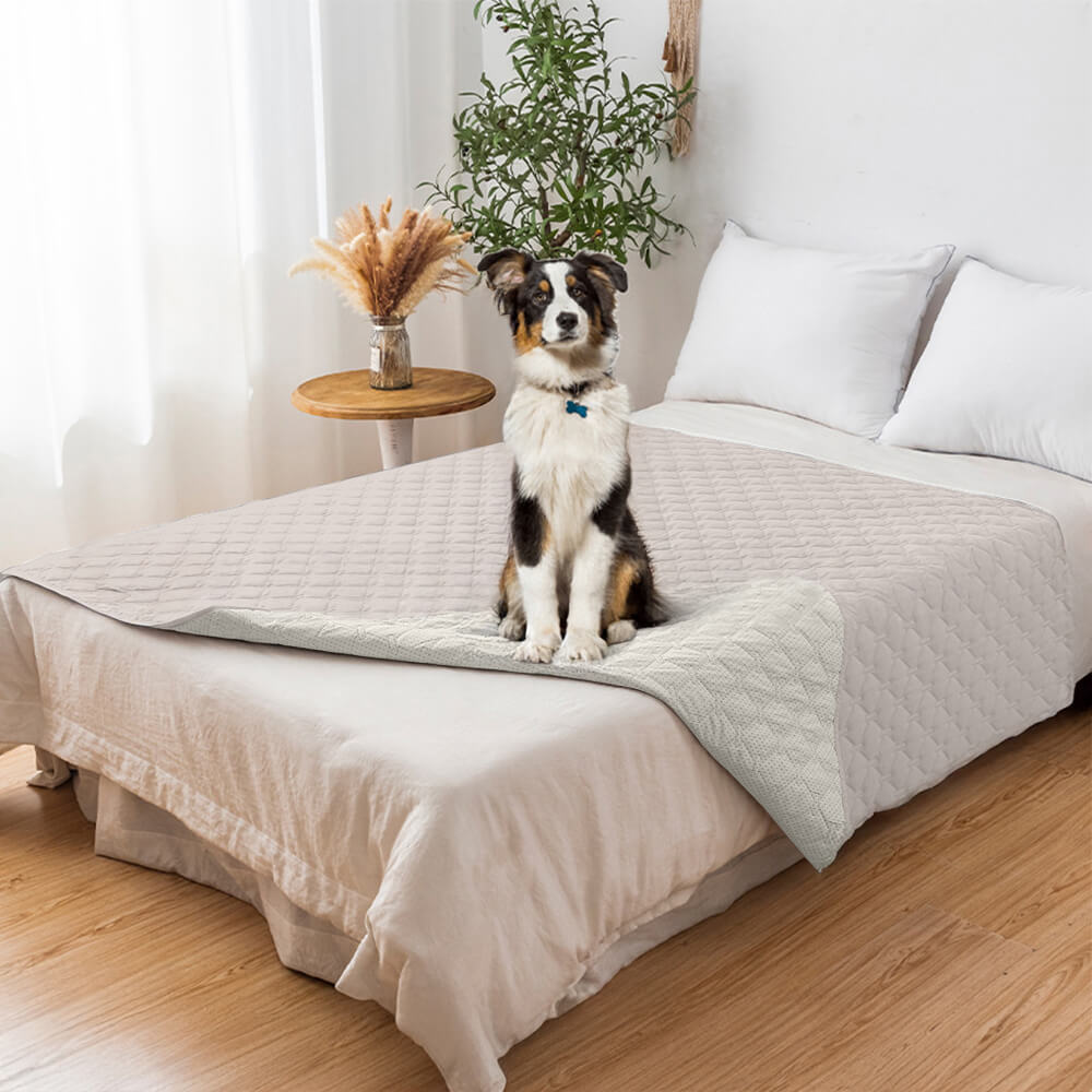 Housse de canapé matelassée en losanges imperméable et antidérapante pour animaux de compagnie – Protection élégante des meubles