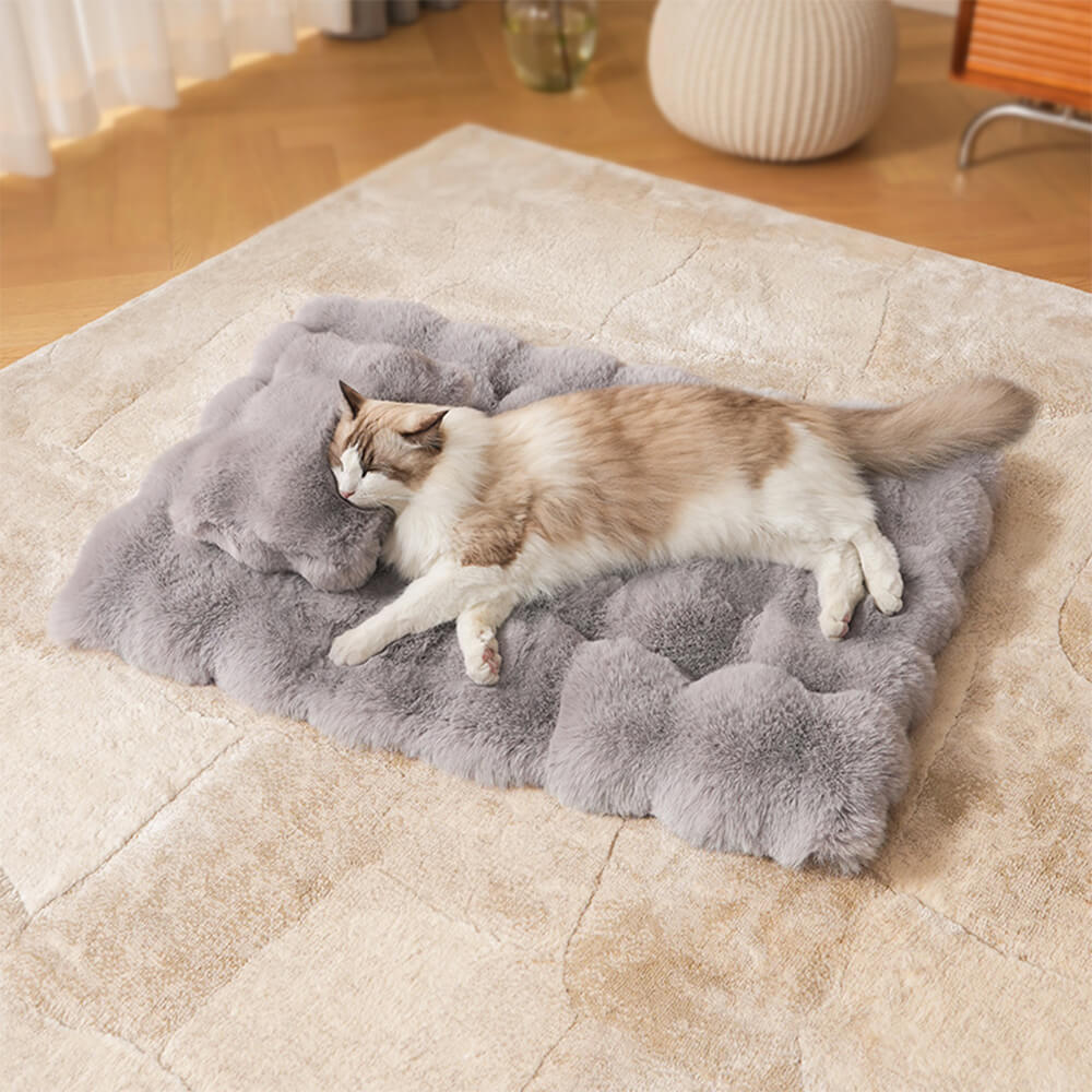 Tapis pour chien et chat en fausse fourrure de lapin ultra douce à motif ondulé avec oreiller pour animaux de compagnie