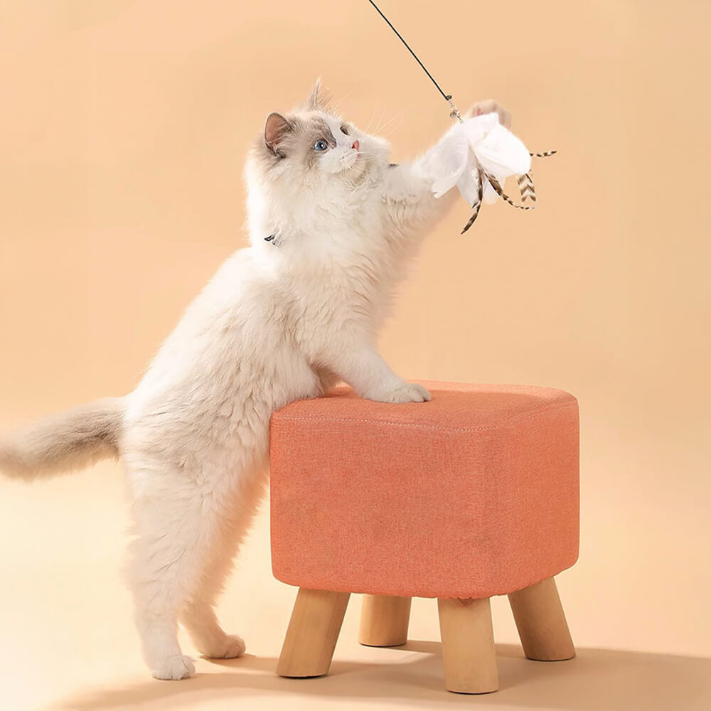 Jouet interactif pour chat avec plume et ventouse