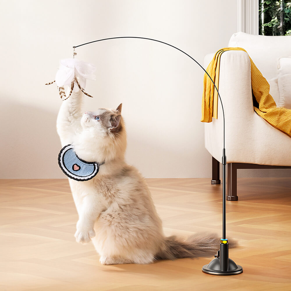 Jouet interactif pour chat avec plume et ventouse