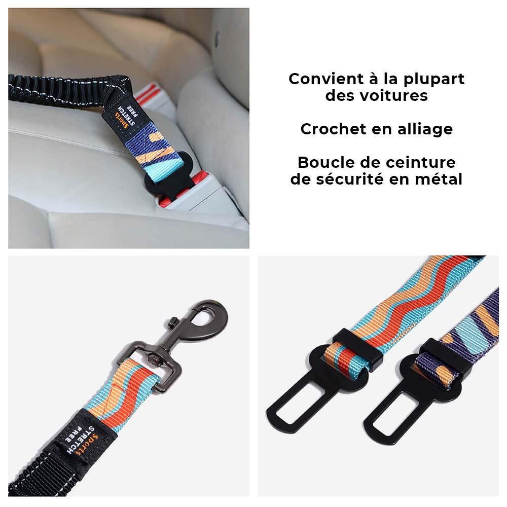Ceinture de sécurité pour chien ajustable et colorée
