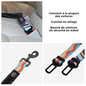 Ceinture de sécurité pour chien ajustable et colorée