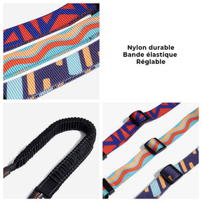 Ceinture de sécurité pour chien ajustable et colorée
