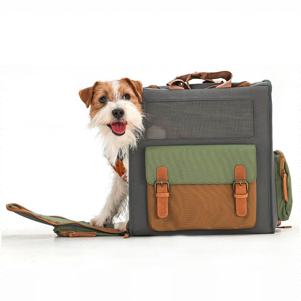 Sac à dos de transport pour animaux de compagnie en toile imperméable et respirante bicolore