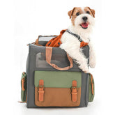 Sac à dos de transport pour animaux de compagnie en toile imperméable et respirante bicolore
