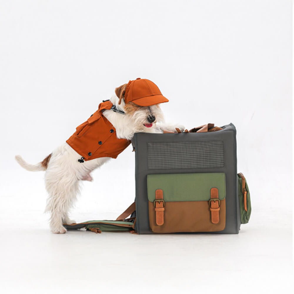 Sac à dos de transport pour animaux de compagnie en toile imperméable et respirante bicolore