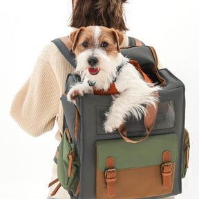 Sac à dos de transport pour animaux de compagnie en toile imperméable et respirante bicolore