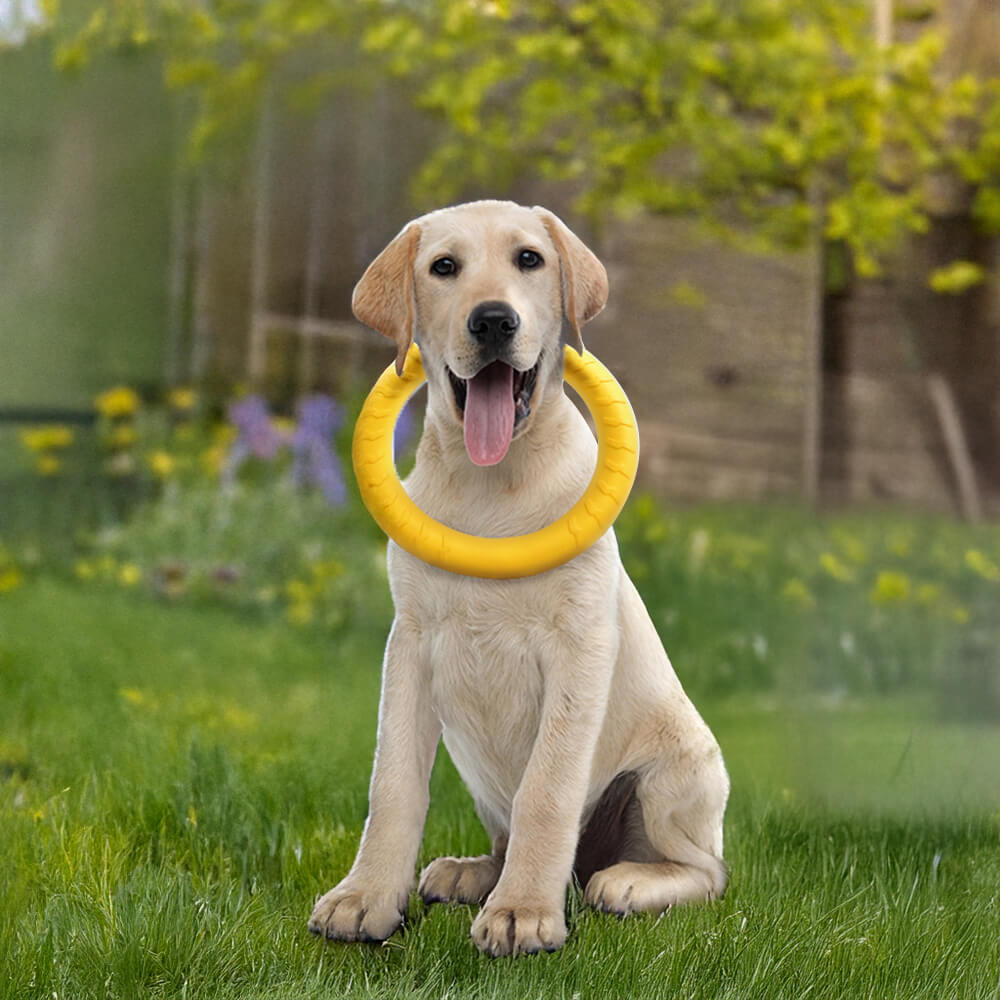 Anneau à mâcher flottant en EVA durable Frisbee jouet pour chien