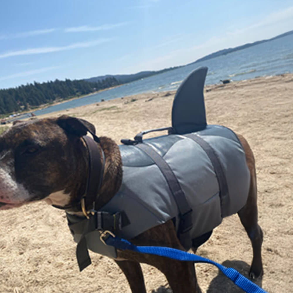 Gilet de sauvetage pour chien style sirène ou requin ajustable et sécurisé