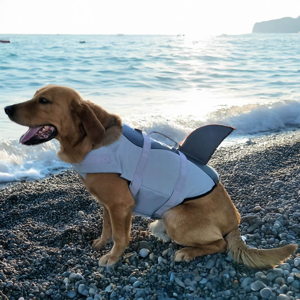 Gilet de sauvetage pour chien style sirène ou requin ajustable et sécurisé
