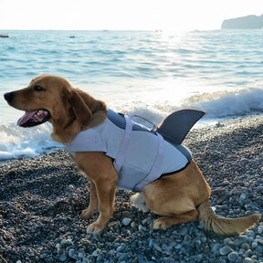 Gilet de sauvetage pour chien style sirène ou requin ajustable et sécurisé