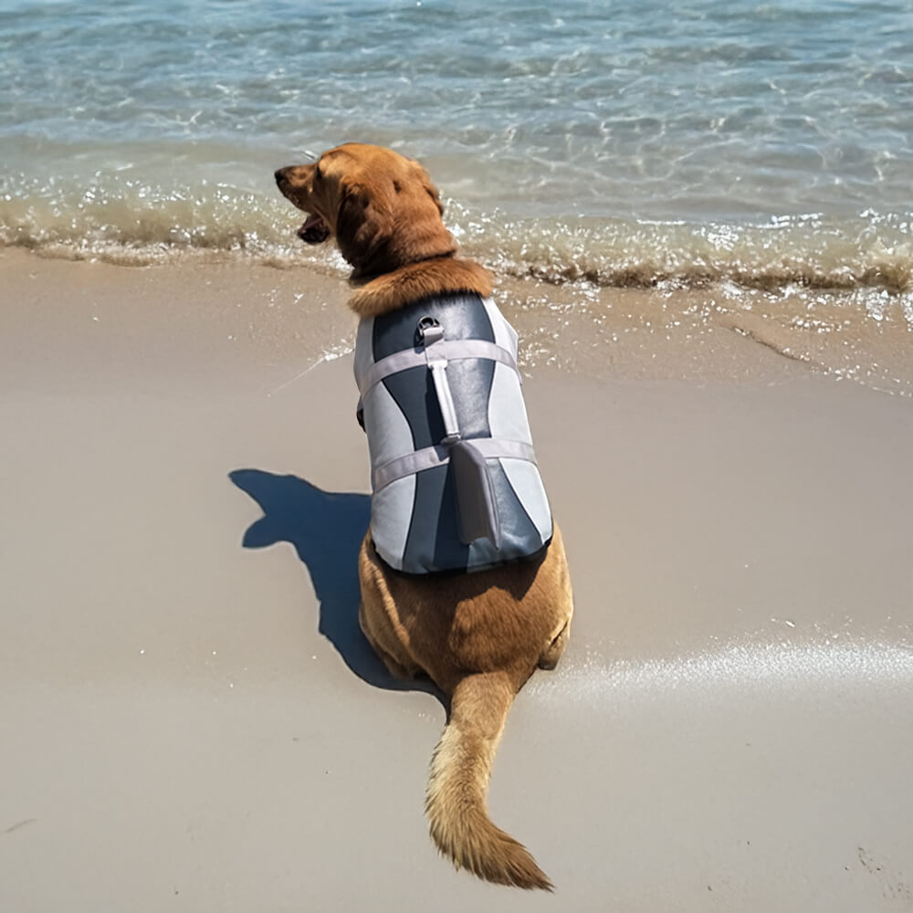 Gilet de sauvetage pour chien style sirène ou requin ajustable et sécurisé