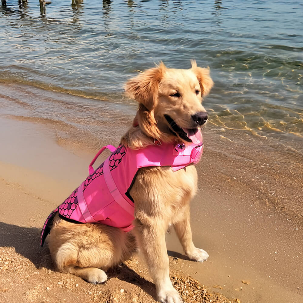 Gilet de sauvetage pour chien style sirène ou requin ajustable et sécurisé
