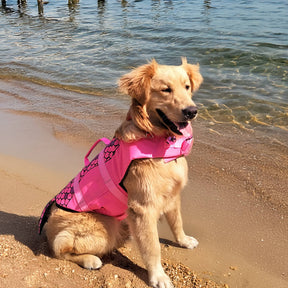 Gilet de sauvetage pour chien style sirène ou requin ajustable et sécurisé