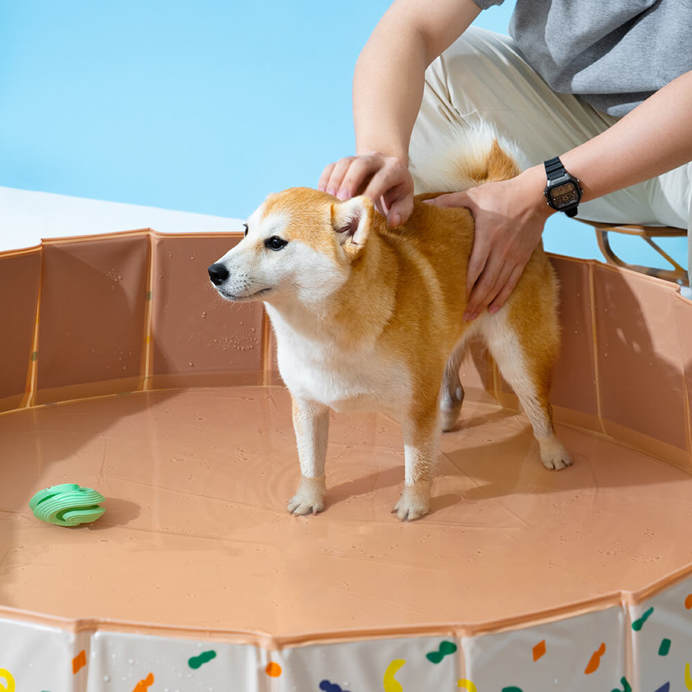 Piscine pour chien pliable et portable pour usage extérieur