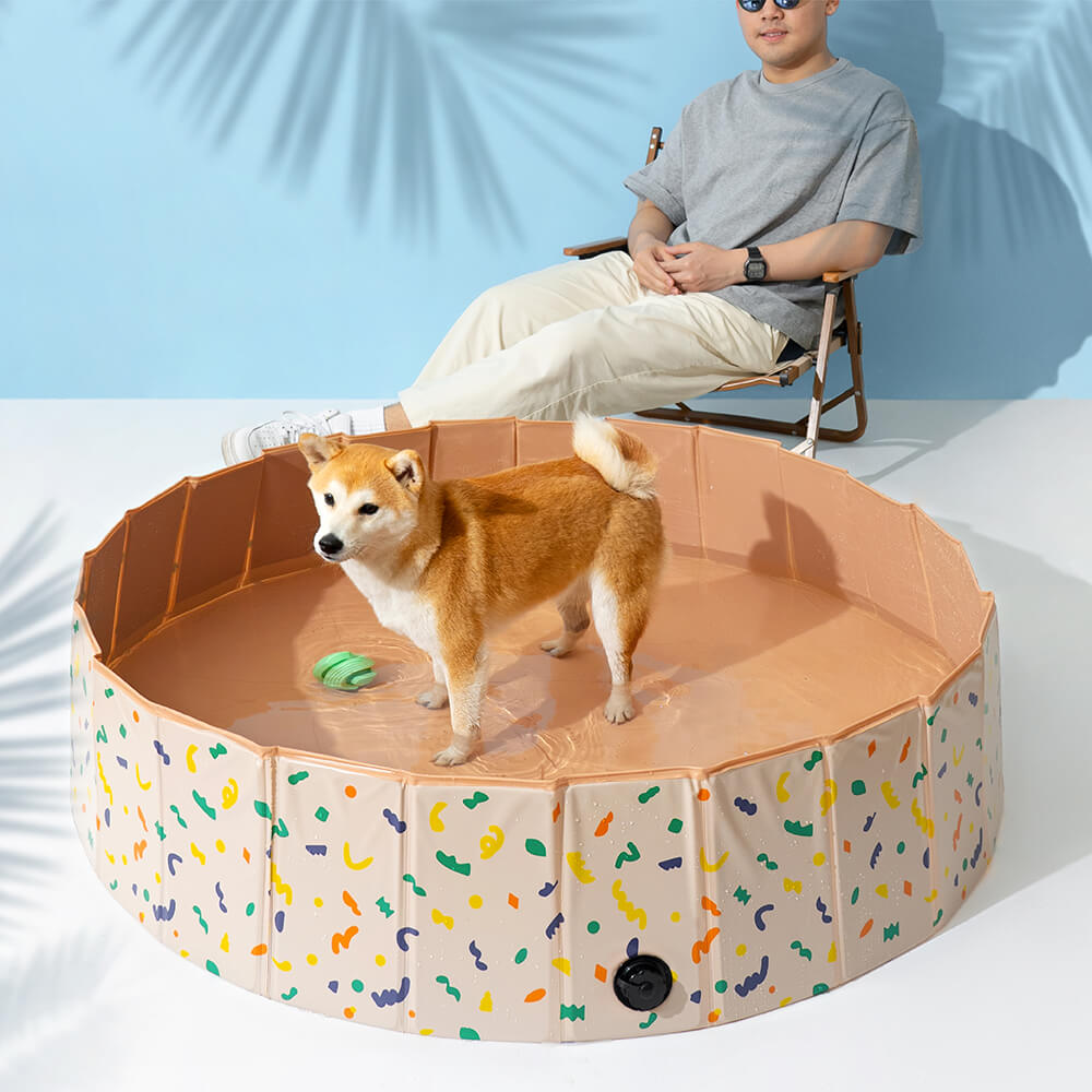 Piscine pour chien pliable et portable pour usage extérieur